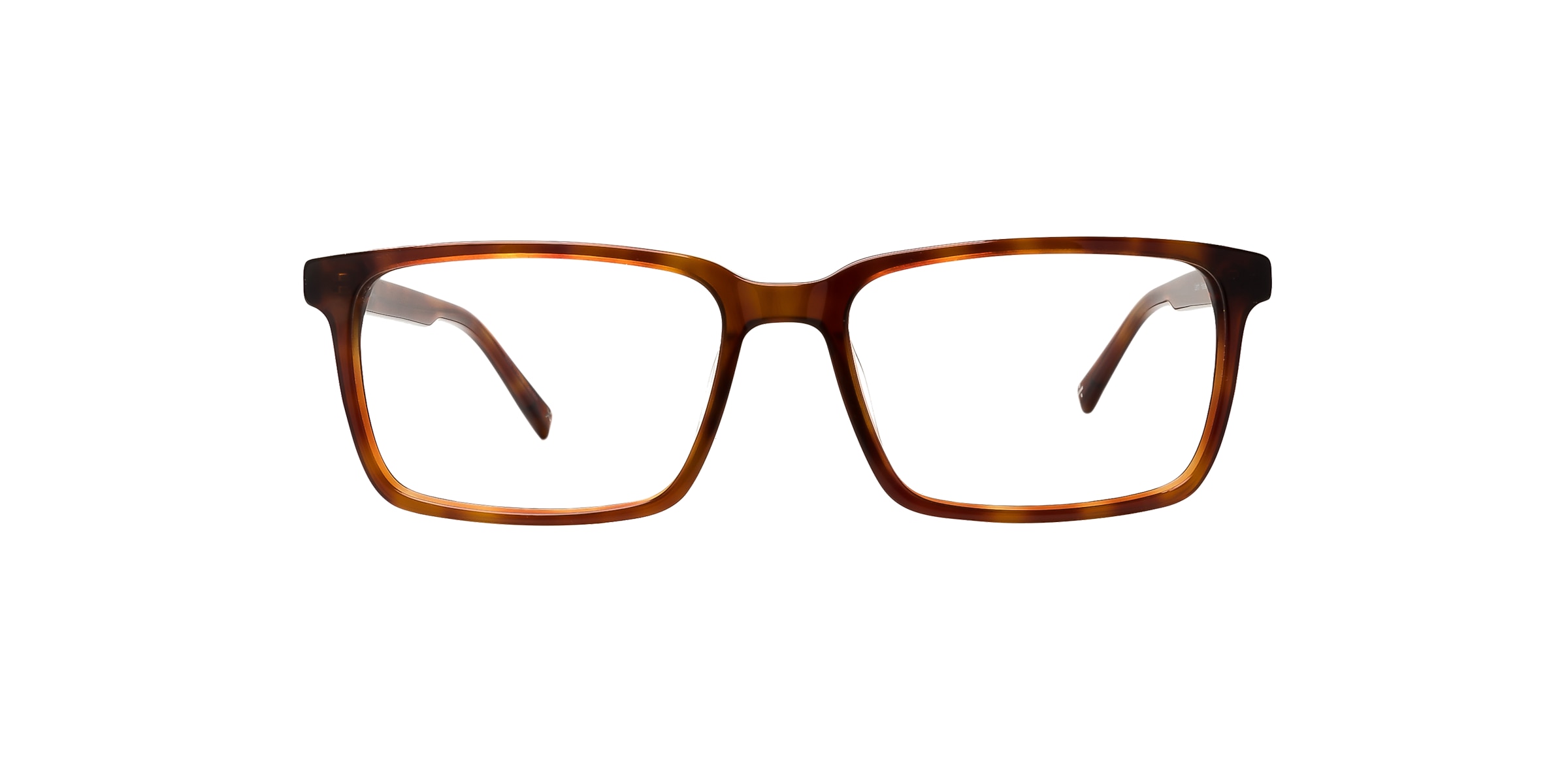 Clearly Glasses LARCH