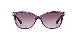 coach Sunglasses hc8132 l109