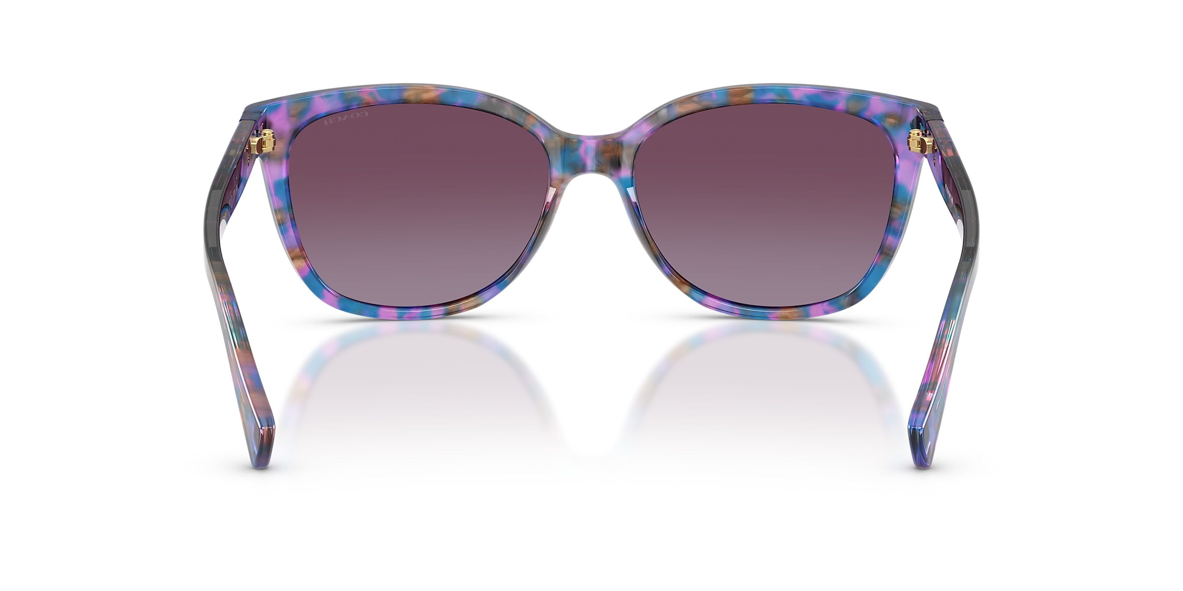 Coach Sunglasses HC8132 L109