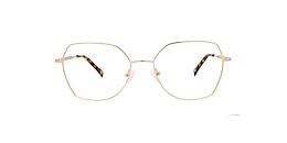 main and central Glasses hugheden