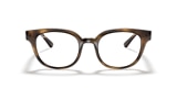 RB4324V OPTICS