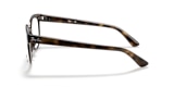 RB4324V OPTICS