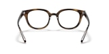 RB4324V OPTICS