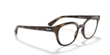 RB4324V OPTICS
