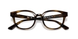RB4324V OPTICS