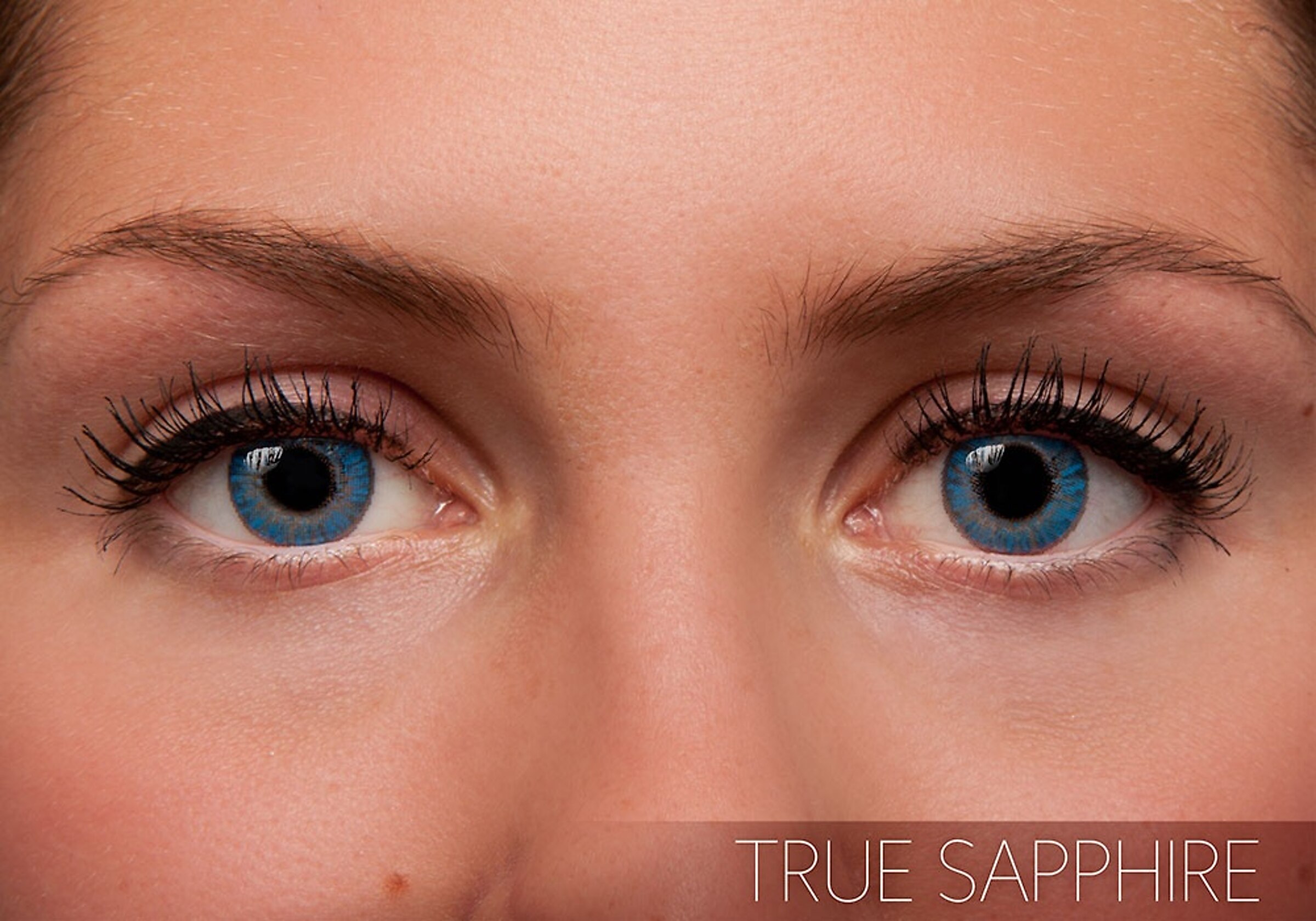 Alcon Contacts FreshLook Colorblends 6