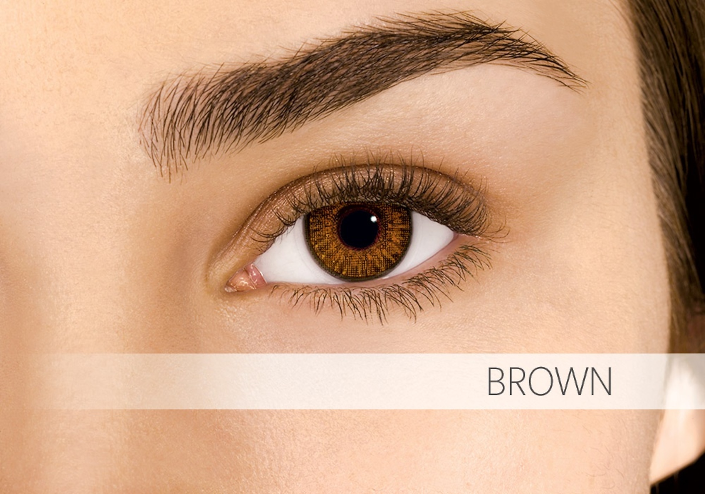 Alcon Contacts AIR OPTIX® COLORS 2