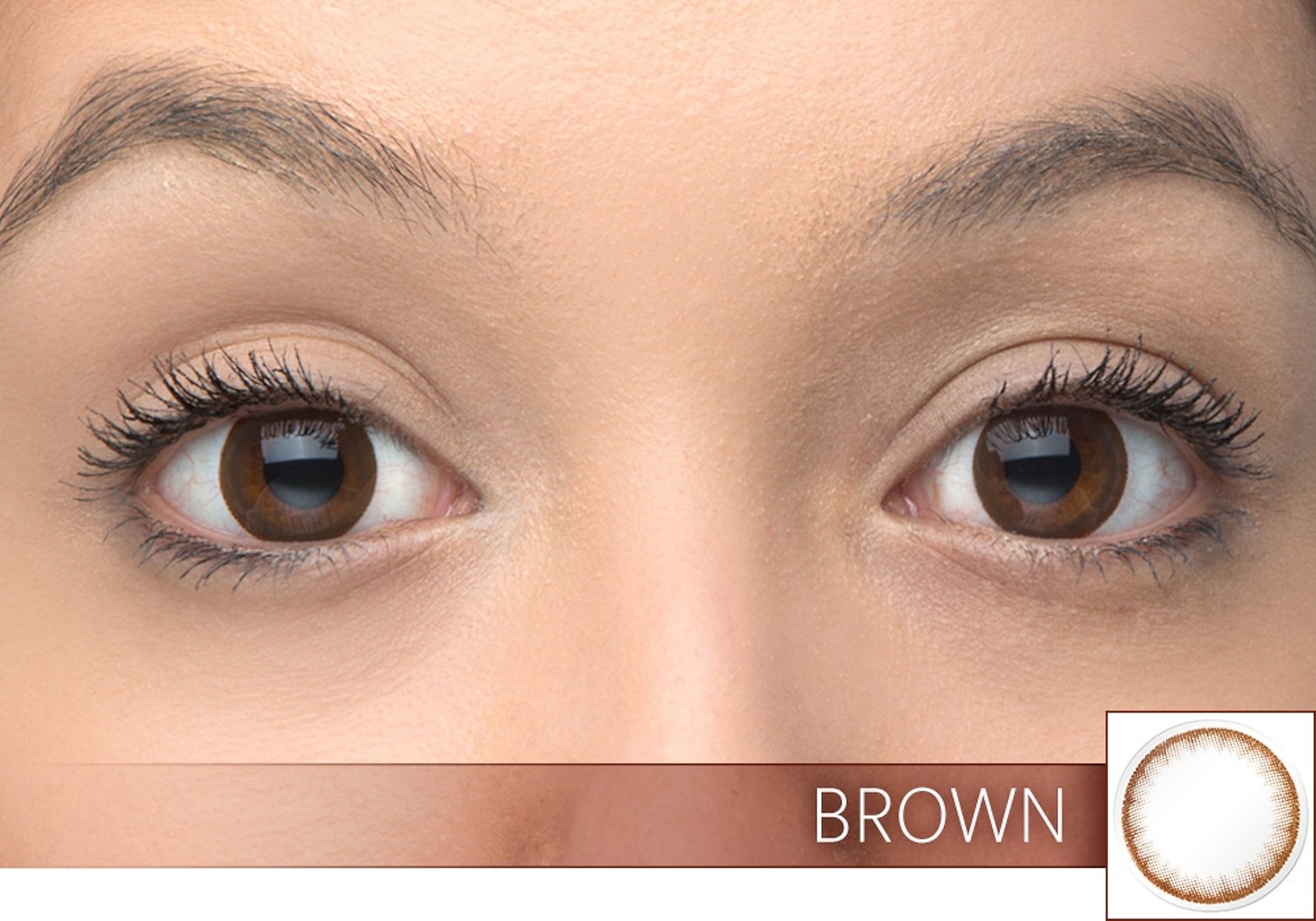 Interojo Contacts Splash® Illusion Brown 30