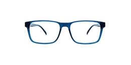Clearly Glasses PETREL