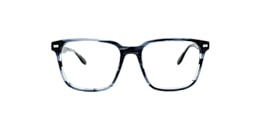 Clearly Glasses PITT