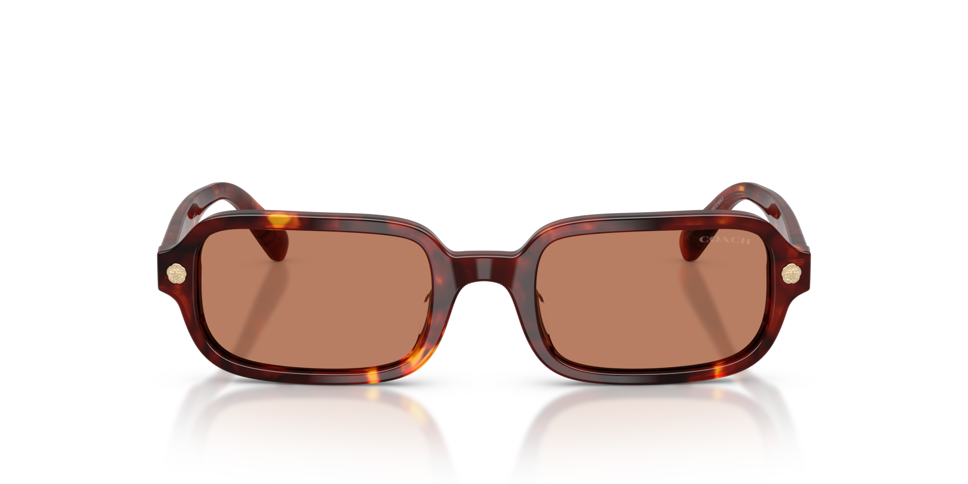 Coach HC8465U CFU11 Walnut Tortoise, Size: S
