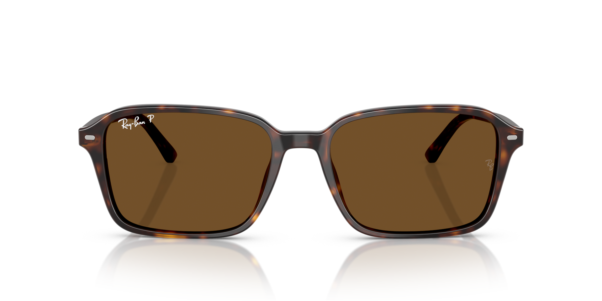 Ray-Ban RB2231 RAIMOND Havana, Size: L