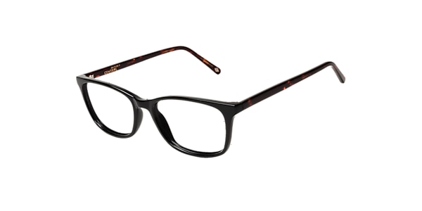 Clearly Glasses ADELAIDE