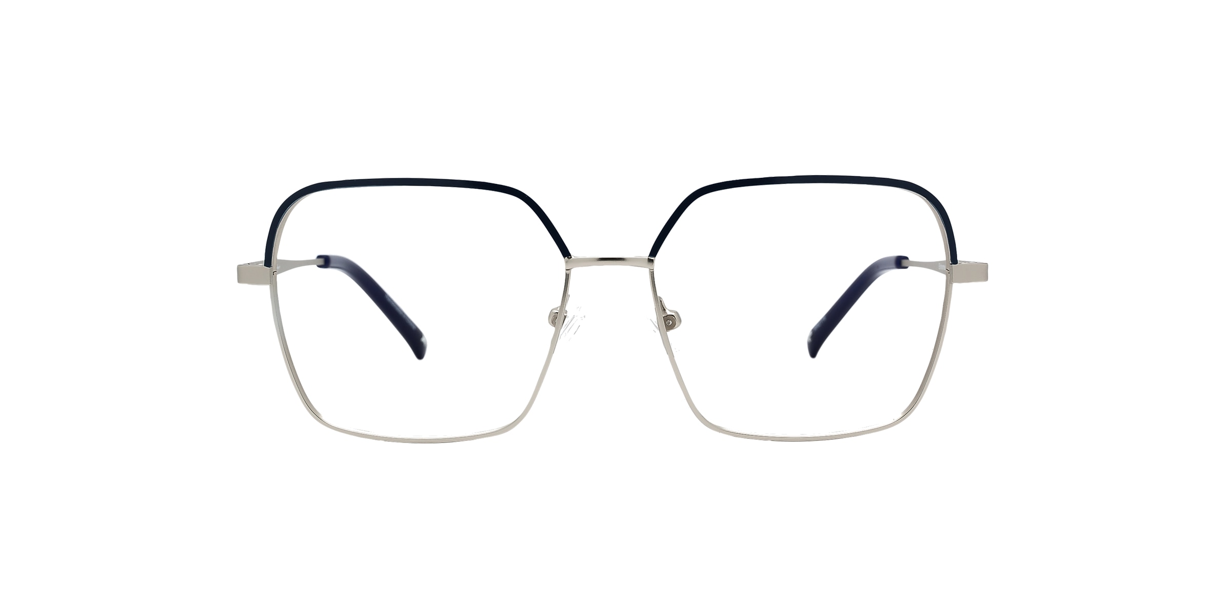 Clearly Glasses ERINOME