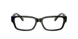 Diesel Glasses DL4002