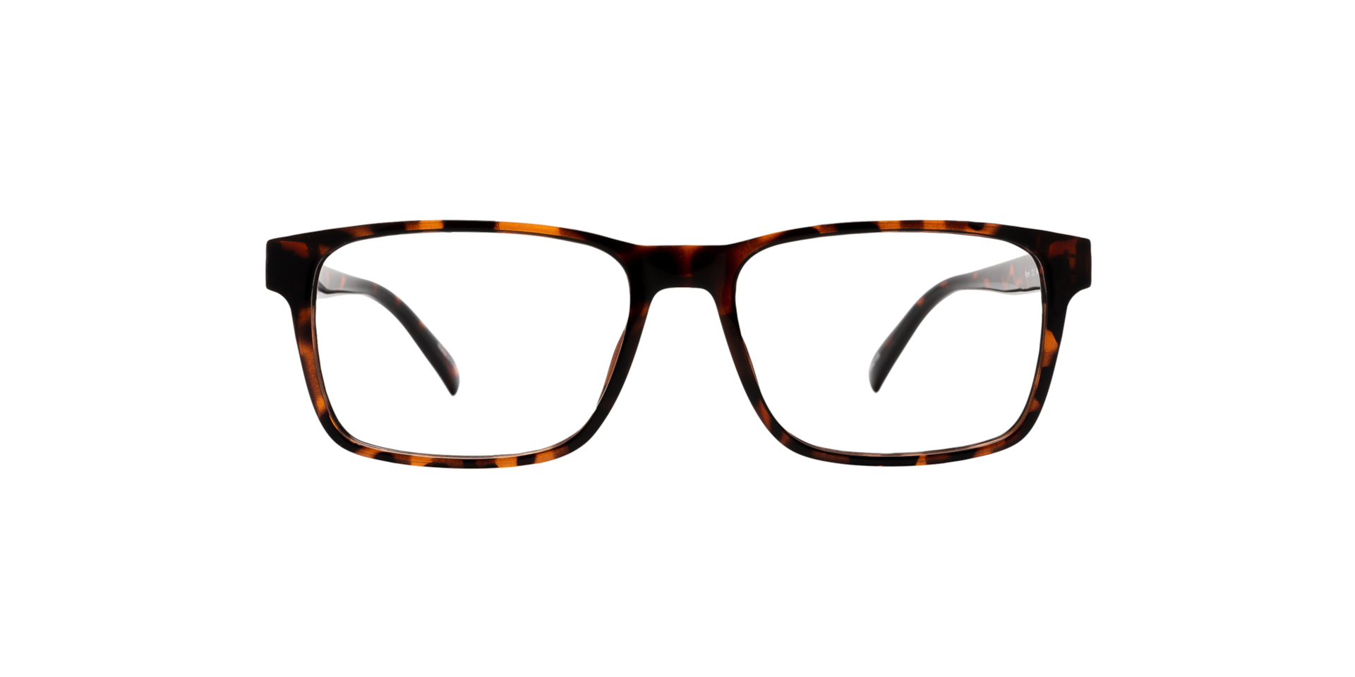 Clearly PETREL Shiny Havana, Size: XS
