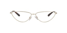 Clearly Glasses SHARP