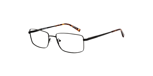 Clearly Glasses GANYMEDE