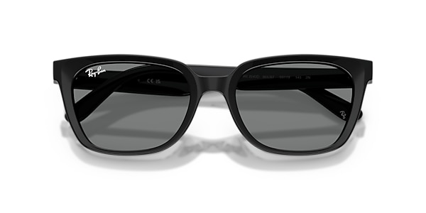 Ray-Ban Sunglasses RB2243D