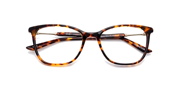 Clearly Glasses MADELYN