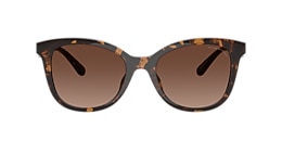 Coach Sunglasses HC8419U CAD25