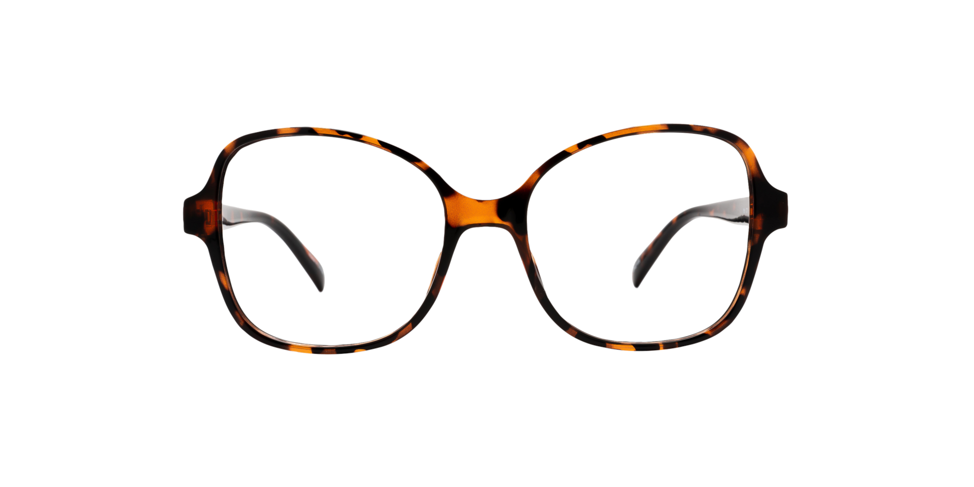 Clearly IBIS Shiny Havana, Size: XS