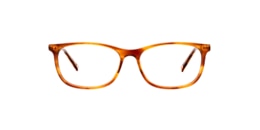 Clearly Glasses VELA