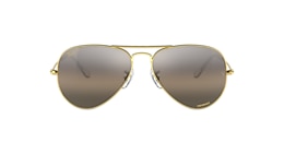 Ray-Ban Sunglasses RB3025 AVIATOR POLARIZED+ LENSES