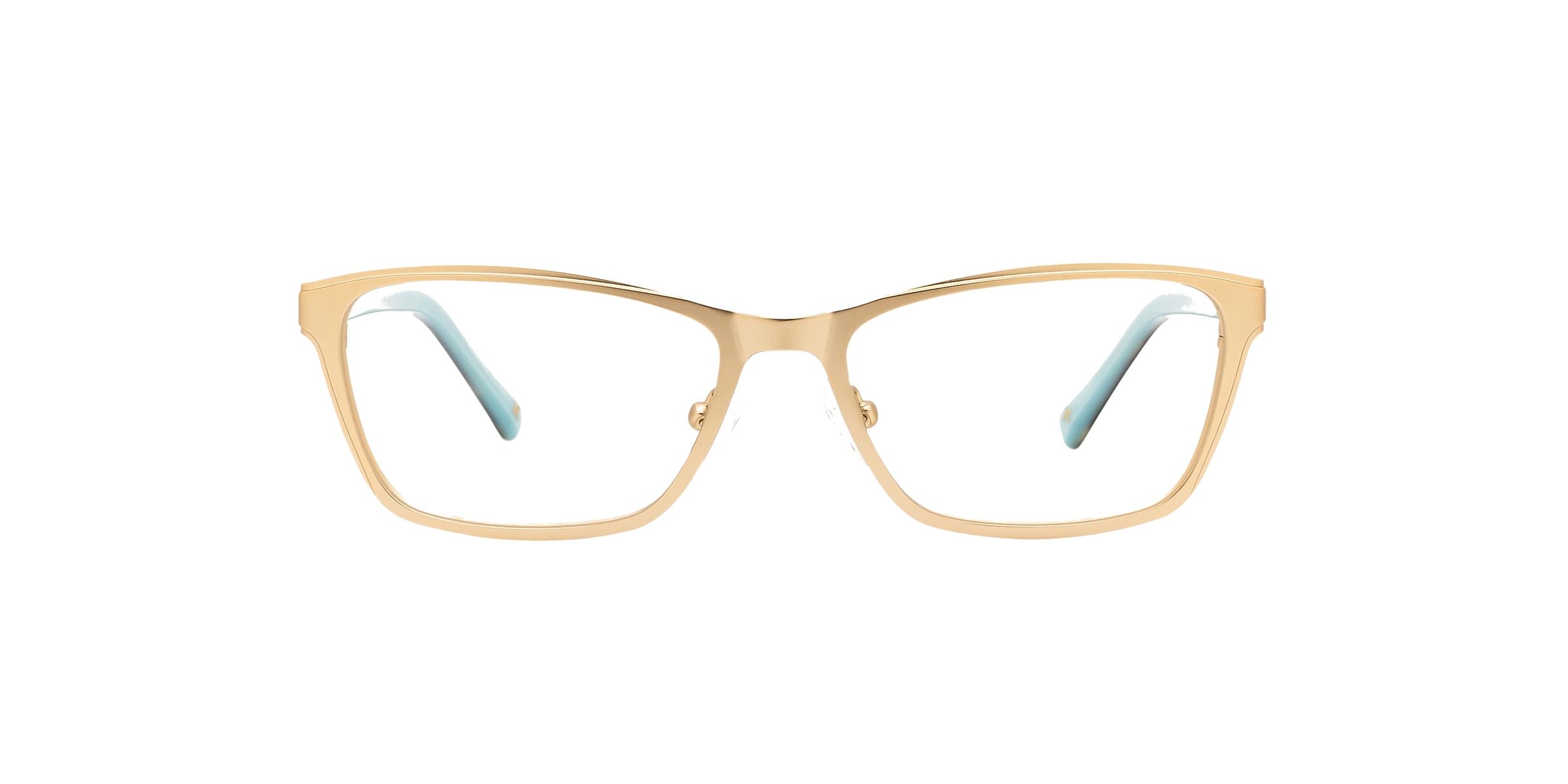 Clearly Glasses DELPHINUS