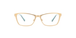 Clearly Glasses DELPHINUS