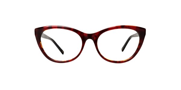 Clearly Glasses WILLOW