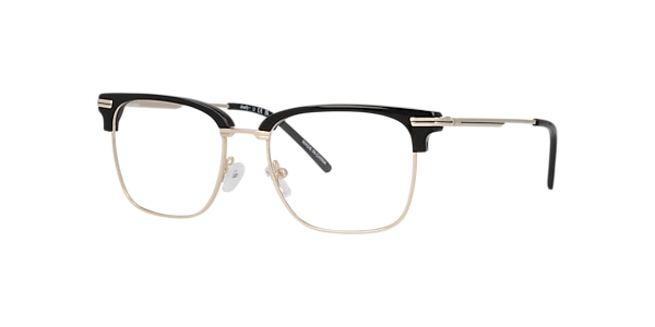 Clearly Glasses CACTUS