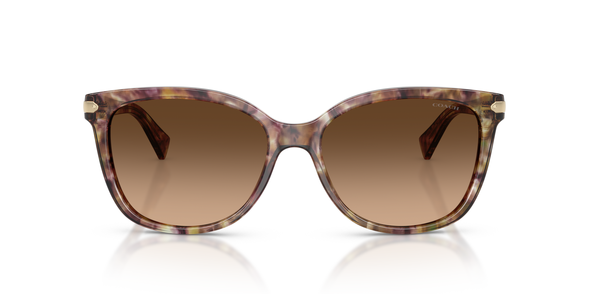 Coach HC8132 L109 Tortoise, Size: L