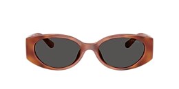 Coach Sunglasses HC8462U CFU06