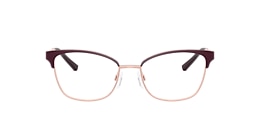 Michael Kors Glasses MK3012 ADRIANNA IV