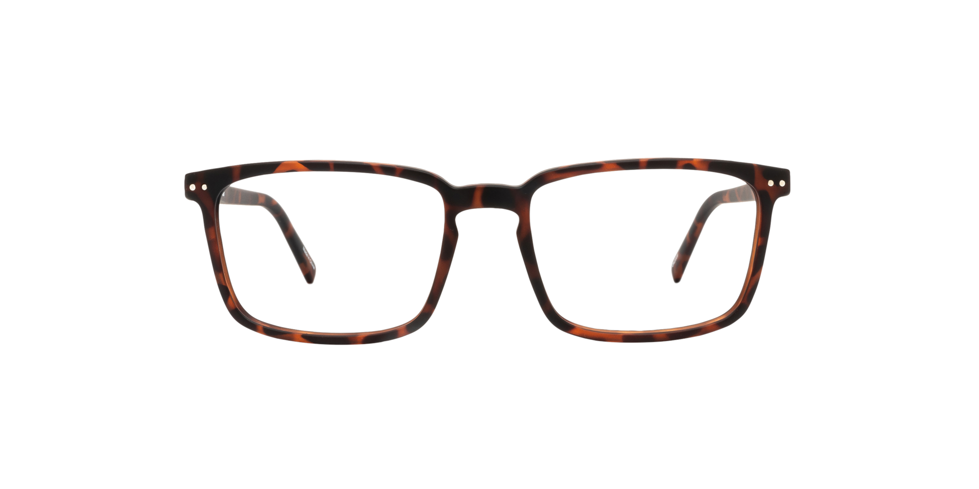 Clearly CURLEW Tortoise, Size: S