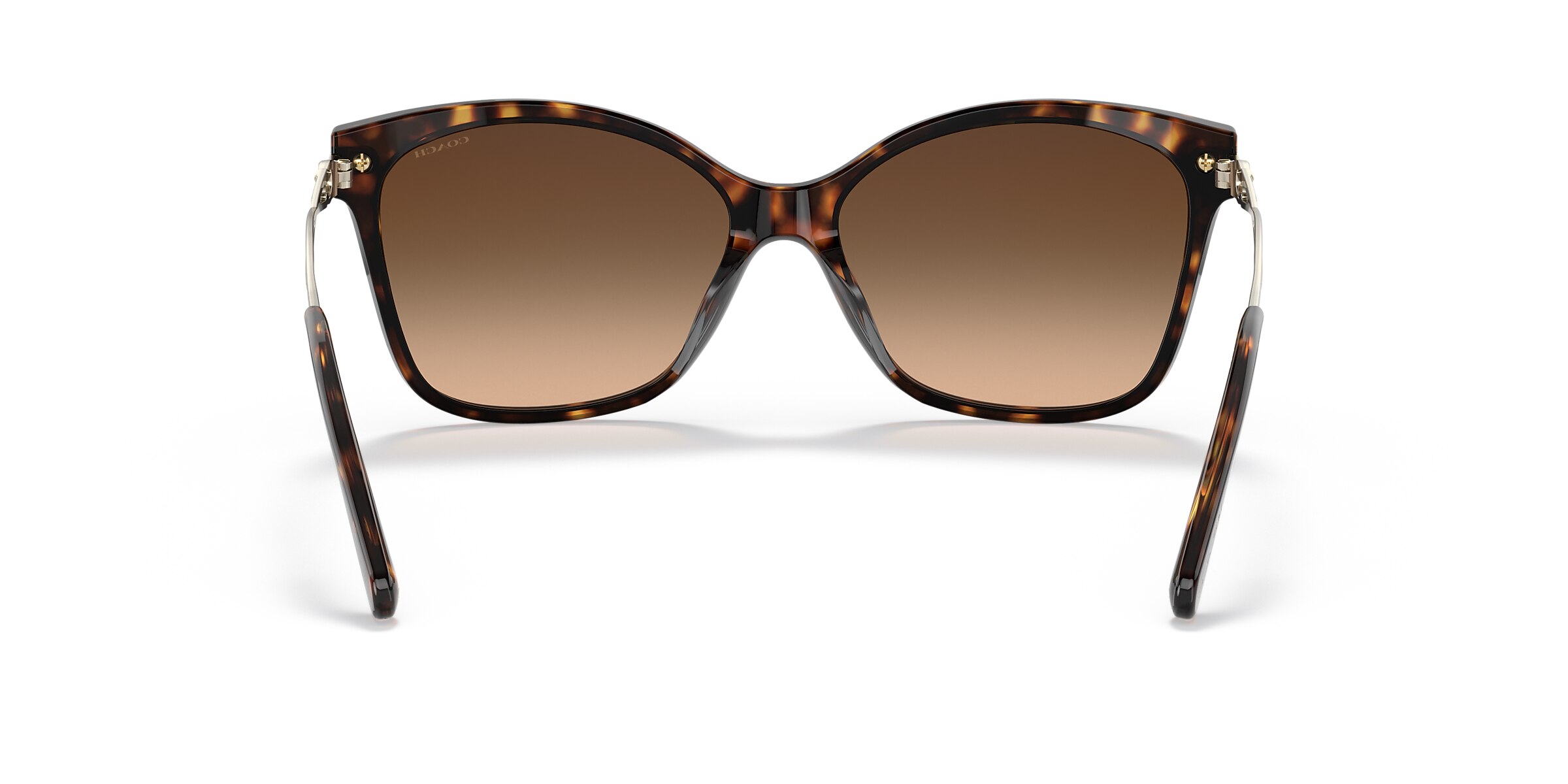 Coach Sunglasses HC8316 C3446
