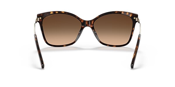 Coach Sunglasses HC8316 C3446