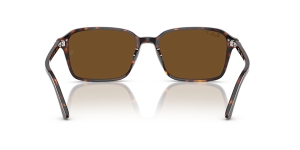 RB2231 RAIMOND
