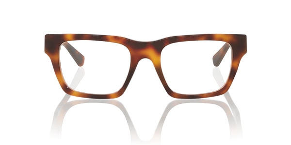 Gucci Glasses GG1889O