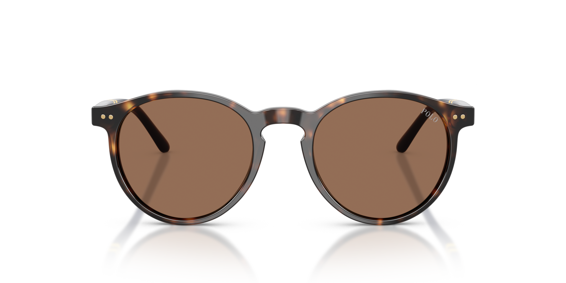 Polo Ralph Lauren PH4236 Shiny Dark Havana, Size: S