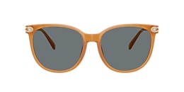 Coach Sunglasses HC8414BD CW428