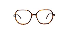 Clearly Glasses BRISTLECONE