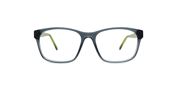 Clearly Glasses TURTLE BAY