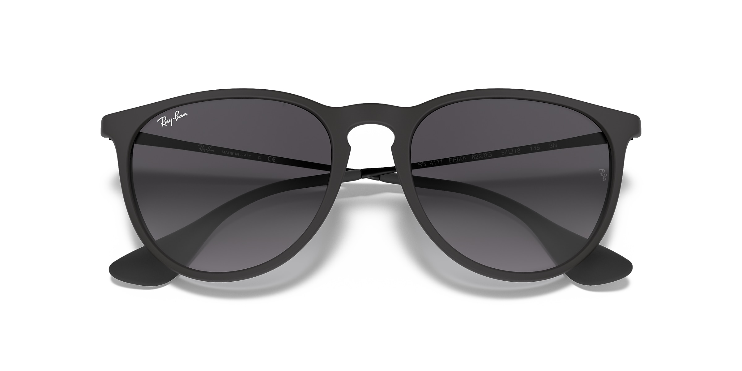 Ray-Ban Sunglasses RB4171 ERIKA CLASSIC