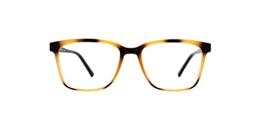 Clearly Glasses CARBONEAR