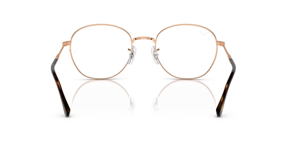 RB6509 OPTICS
