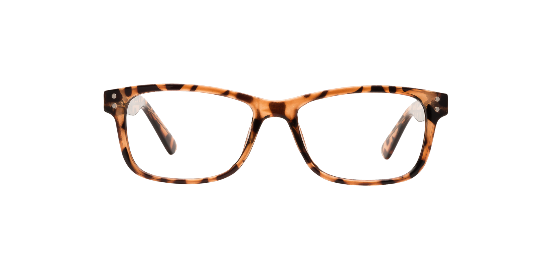 Clearly LLOYDMINSTER Tortoise, Size: S