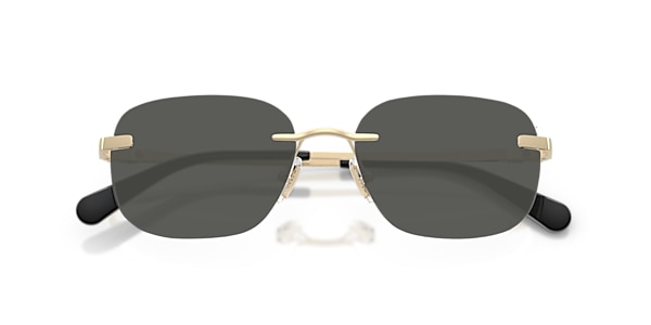 Coach Glasses HC5206D
