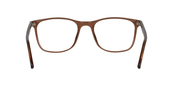 Clearly Glasses BLUE SPRUCE